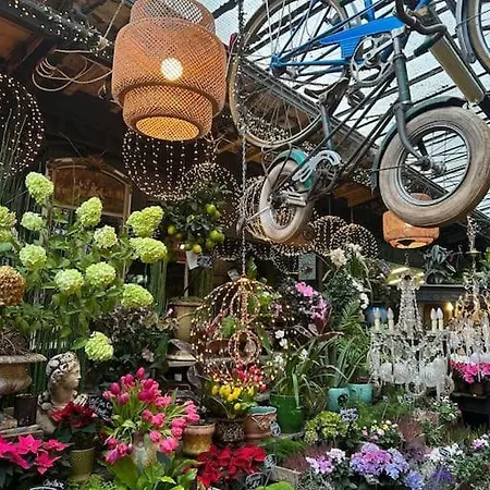 Heart Of Saint-germain-des-pres